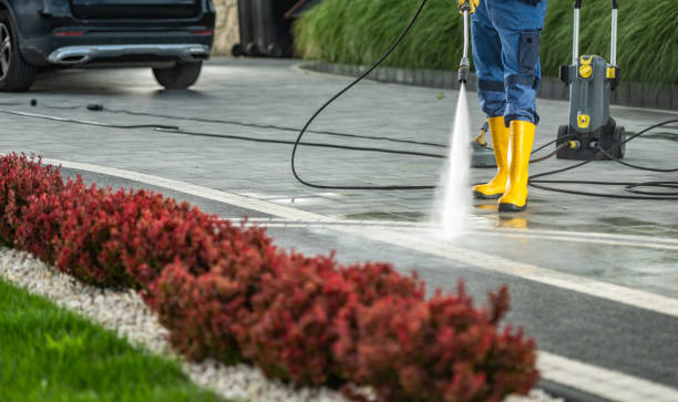 Professional Pressure Washing in Auburn, NY